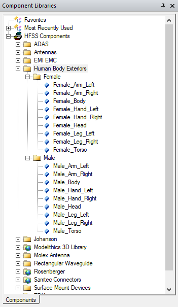 Component Libraries panel. Human Body Exteriors folder expanded.