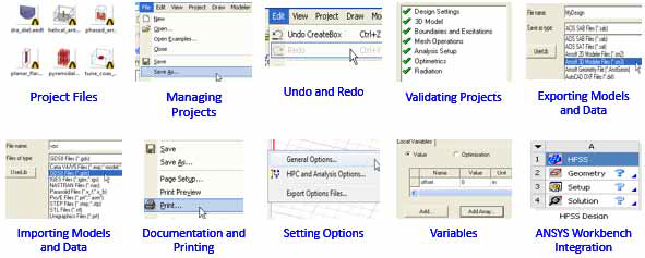 Project Files, Managing Projects, Undo and Redo, Validating Projects, Exporting Models and Data, Importing Models and Data, Documentation and Printing, Setting Options, Variables, ANSYS Workbench Integration