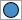 Circle icon.