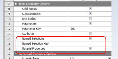 Basic geometry options list. Named selection option enabled.