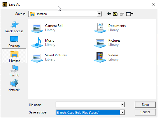 Save As dialog, Save as type set to Ensight Case Gold Files.