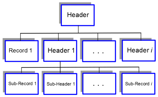 Example File Hierarchy of Records