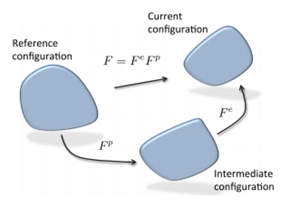 Kinematics of the CP Model