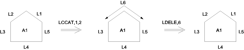 Input Lines in a Concatenation