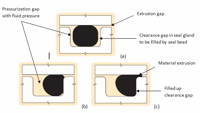 Progression of Seal Deformation