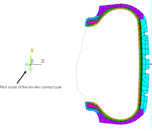 Boundary Conditions on the Rigid Rim Surface (2D Axisymmetric Model)