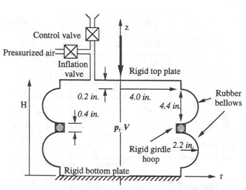 Multiple Species Flow Problem Sketch