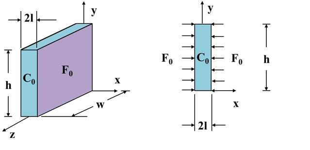 Plate with Constant Diffusion Flux Sketch