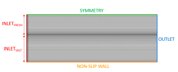 Computational domain with boundary conditions and mesh for the stratified mixing layer.