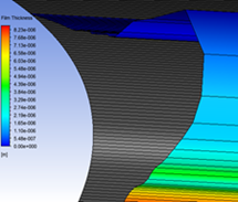 Display Mesh (On)