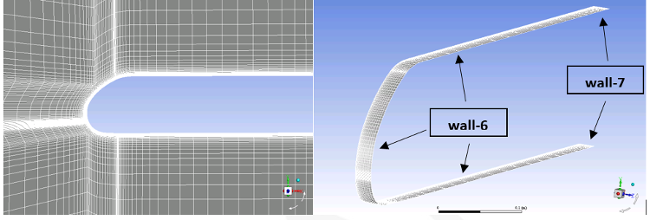 External Mesh (Left: Symmetric Plane; Right: Surface Walls)