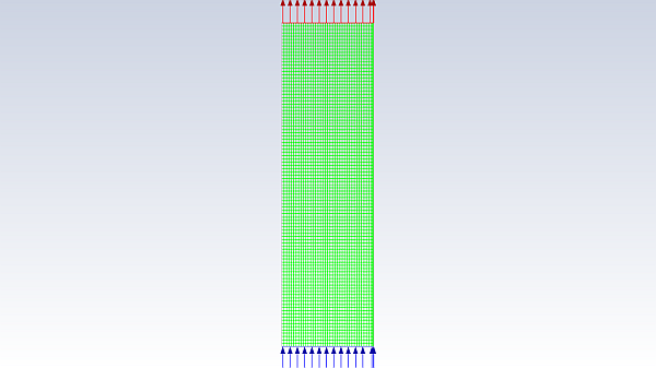 Mesh Display of the Fluidized Bed