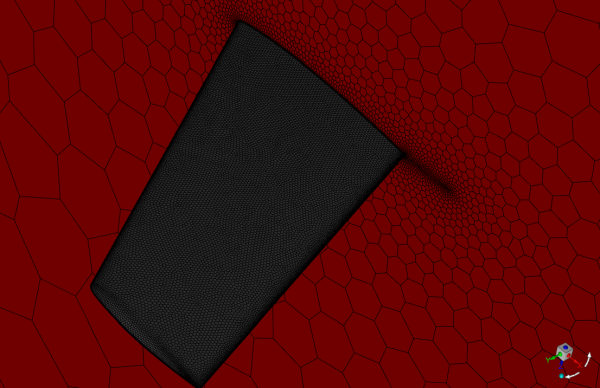 Magnified View of the Mesh Around the Wing