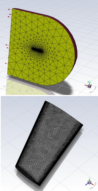 ONERA M6 Swept Wing Geometry and Mesh