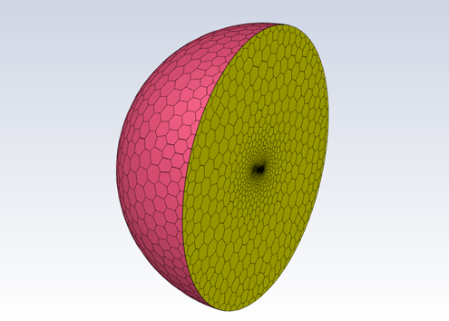 Boundary Surface Mesh of the ONERA M6 Domain