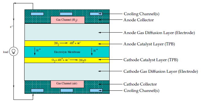 Schematic of a PEM Fuel Cell