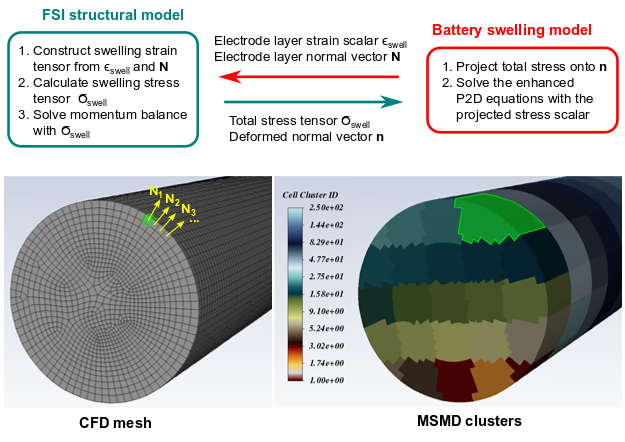 Coupling of the Swelling and FSI Structural Models