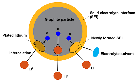 Electrochemical Reactions on the Particle Surface