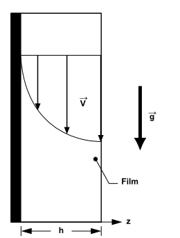 Gravity-Driven Film Velocity