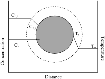 A Reacting Particle in the Multiple Surface Reactions Model