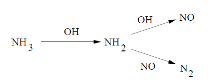 Simplified Reaction Mechanism for the SNCR Process