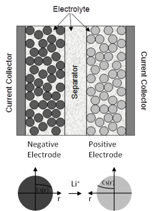 Electrode and Particle Domains in the Newman’s Model