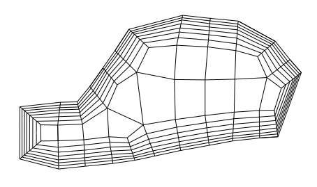 Multiple Prism Layers on Exterior Boundary Zones