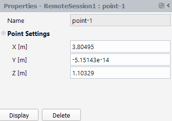 Properties of a Point Surface