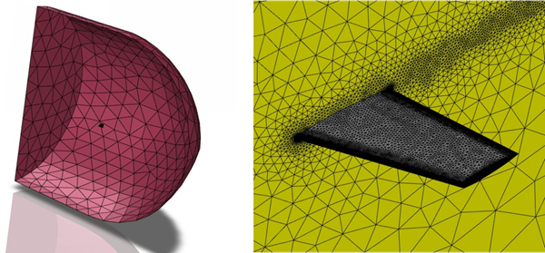 ONERA M6 – Mesh: Farfield (Left) and Wing (Right) Surfaces