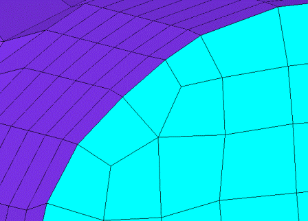 BFC Mesh with Inflation Layer