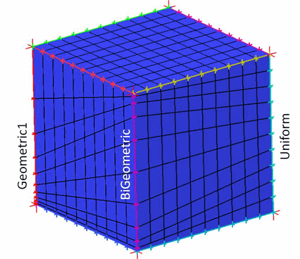 Multiple Curve Advanced Bunching