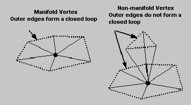 Manifold and Non-Manifold Vertices