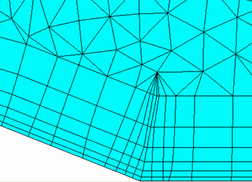 Ortho Weight = 0.5