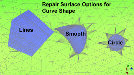 Options for Curve Shape