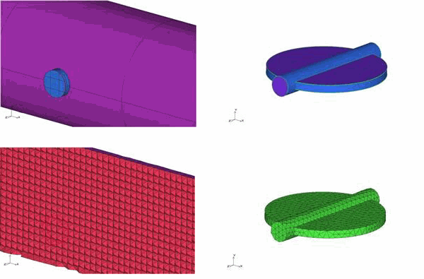 Original Volume and Surface Meshes