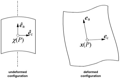 Definition of Initial Vectors and Evaluation of Extension Along Directions Parallel and Perpendicular to the Axis of a Parison