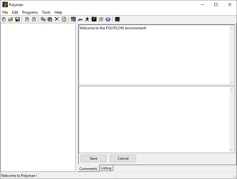 Ansys Polyman Interface at Startup