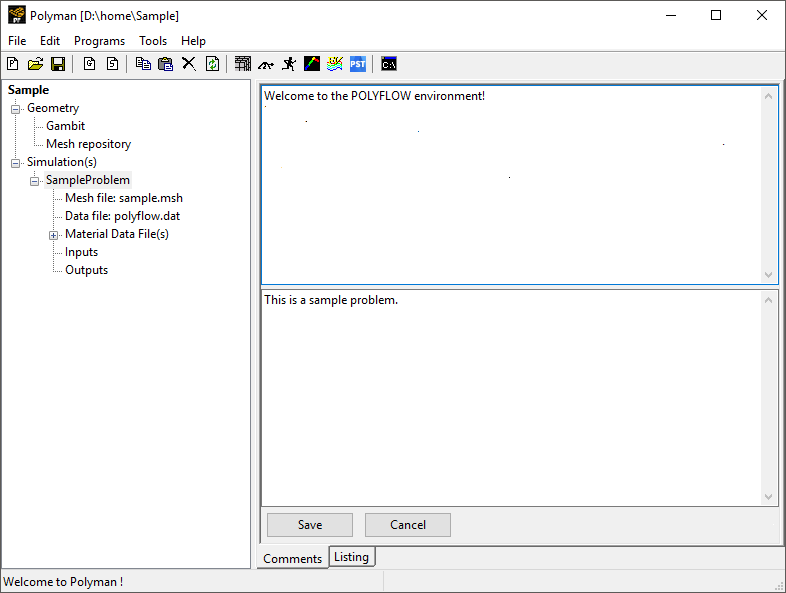 Ansys Polyman Interface After Creation of a Project and Simulation