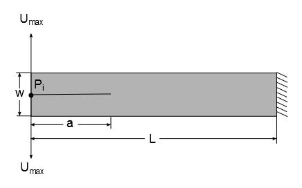 Double Cantilever Beam Sketch