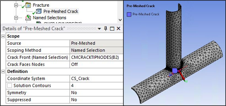 Pre-Meshed Crack