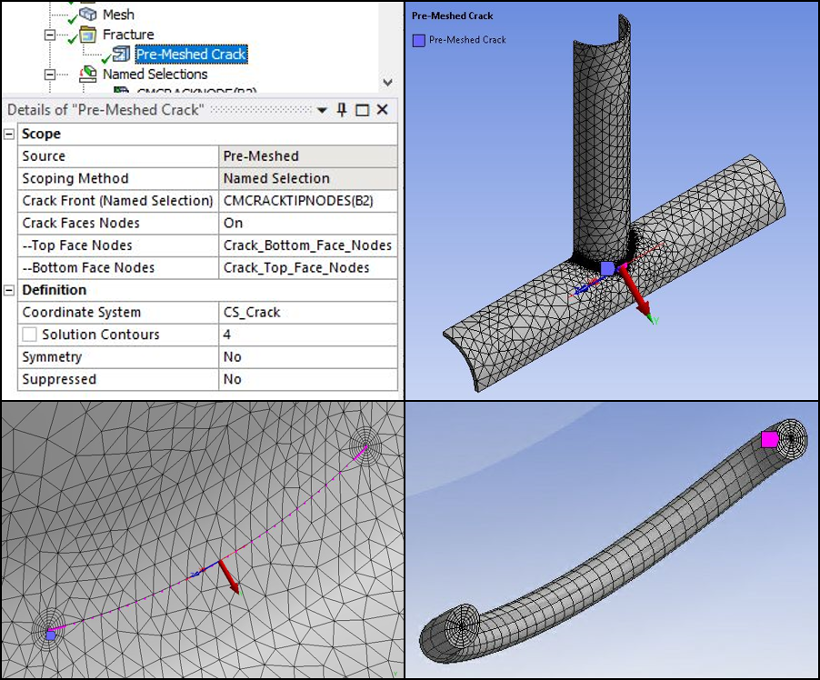 Details and preview - Pre-Meshed Crack