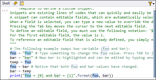 Snippet Usage Example
