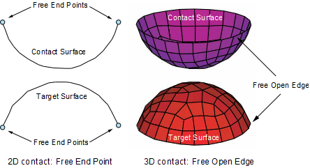 Free End Points (2D) and Free Open Edges (3D)