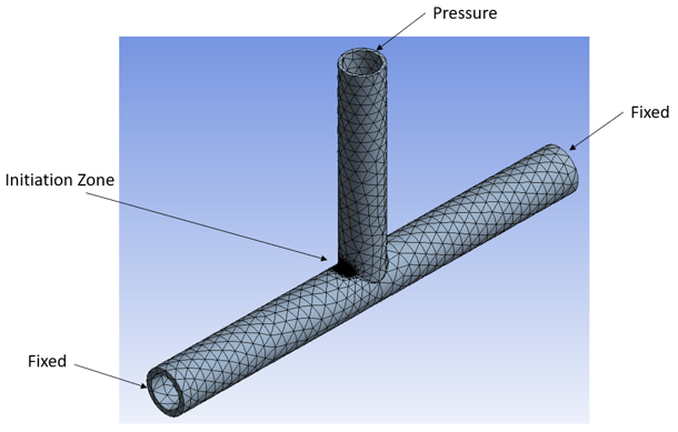 Mesh, Boundary Conditions, and Loads