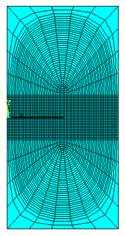 Finite Element Mesh for the SEN Specimen