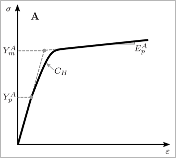 Plastic Response of Austenite