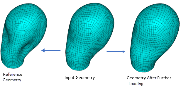 Biomechanical Geometry