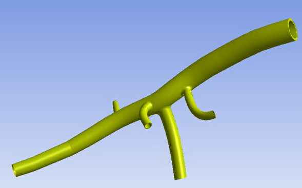 3D Geometry of the Abdominal Aorta of a Mouse