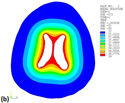 Temperature Distribution Contour of Brain Cross-section at Time 0.02 (a) and Time 1 (b)