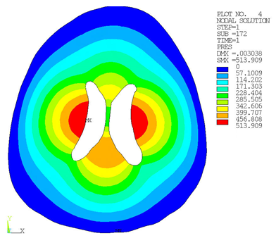 Pore-pressure Distribution From the Last Time Step